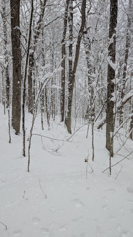 Photo from Shoulder season romp