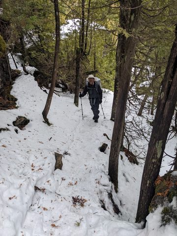 Photo from Snowshoeing Bruce National Park