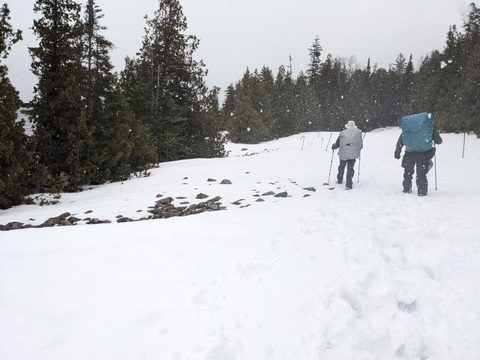 Photo from Snowshoeing Bruce National Park