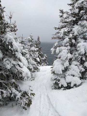 Photo from Snowshoeing Bruce National Park