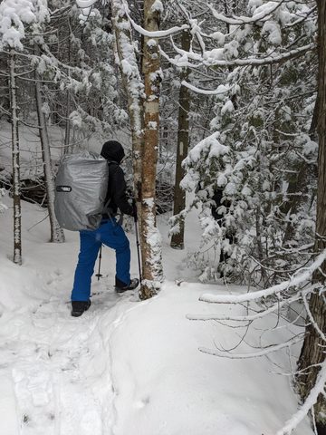 Photo from Snowshoeing Bruce National Park