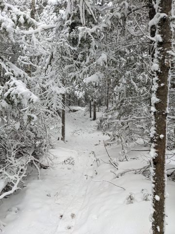 Photo from Snowshoeing Bruce National Park