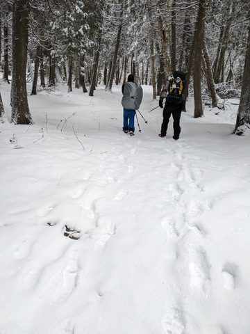Photo from Snowshoeing Bruce National Park