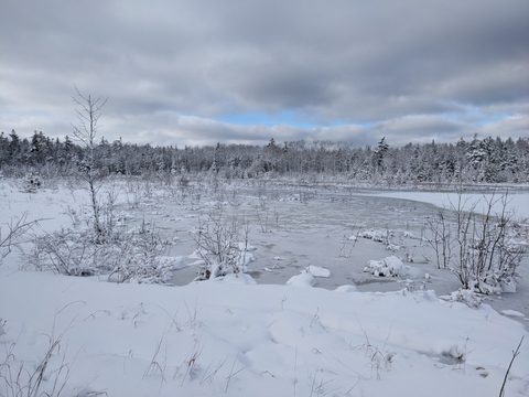 Photo from Snowshoeing Bruce National Park