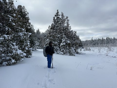Photo from Snowshoeing Bruce National Park