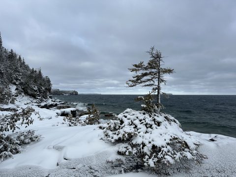 Photo from Snowshoeing Bruce National Park