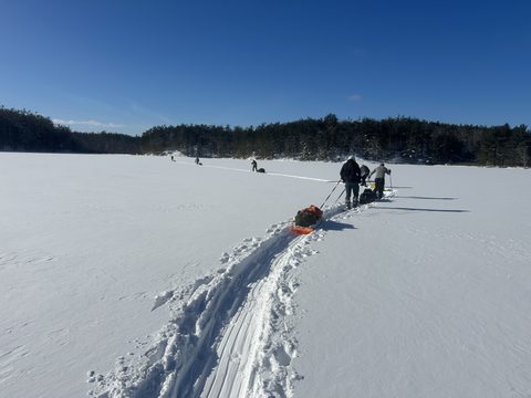 Photo from Queen Elizabeth II Wildlands - 2026 Pulk Pull