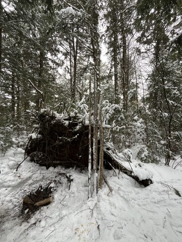 Photo from Minnesing Trail: Late winter camping