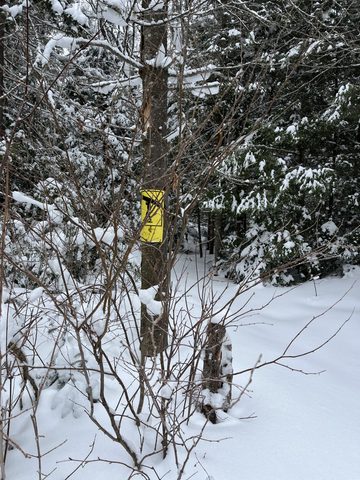 Photo from Minnesing Trail: Late winter camping
