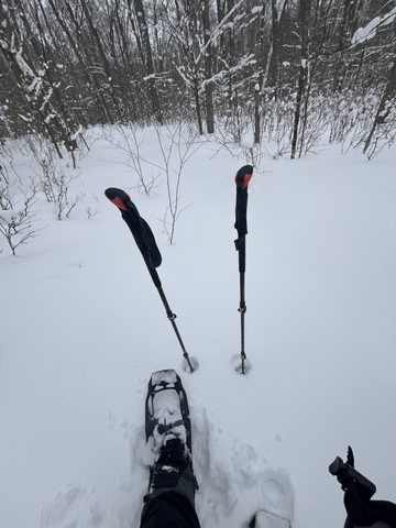 Photo from Minnesing Trail: Late winter camping