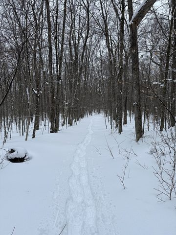 Photo from Minnesing Trail: Late winter camping