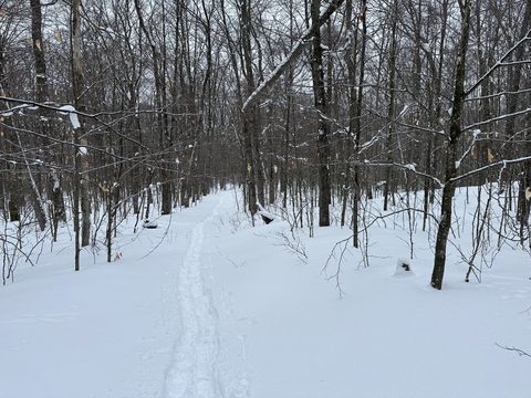 Photo from Minnesing Trail: Late winter camping