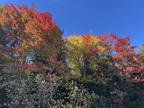 Photo from North Tea Lake weekend getaway