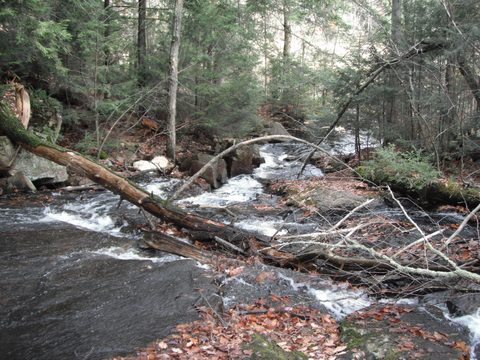 Photo from Beginer's backpacking trip