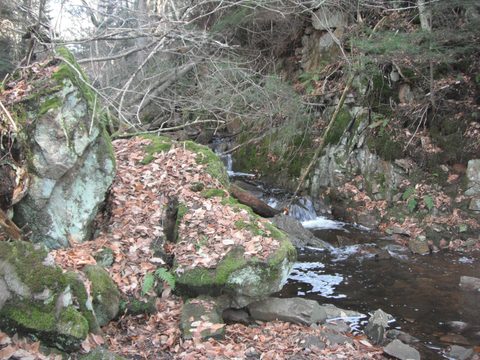 Photo from Beginer's backpacking trip
