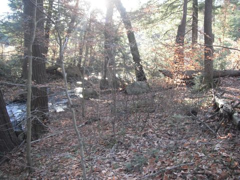 Photo from Beginer's backpacking trip