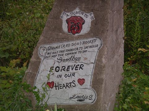 Photo from Niagara Region Bike Tour