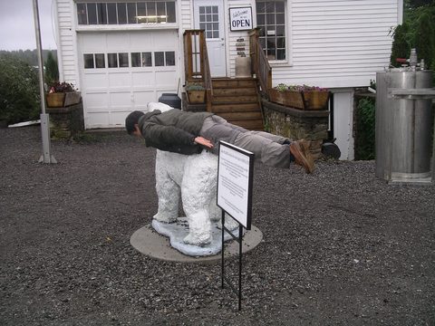 Photo from Niagara Region Bike Tour