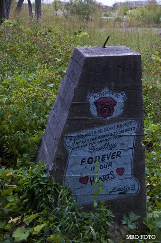 Photo from Niagara Region Bike Tour