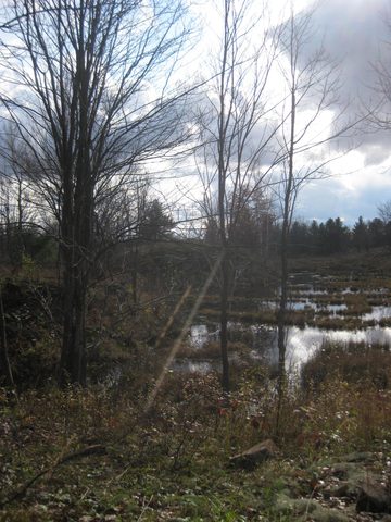 Photo from Backpacking on the Ganaraska Trail - Wilderness Section