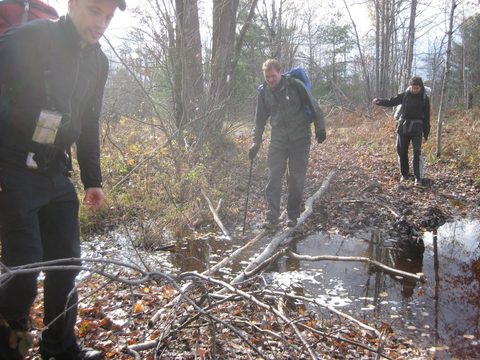 Photo from Backpacking on the Ganaraska Trail - Wilderness Section