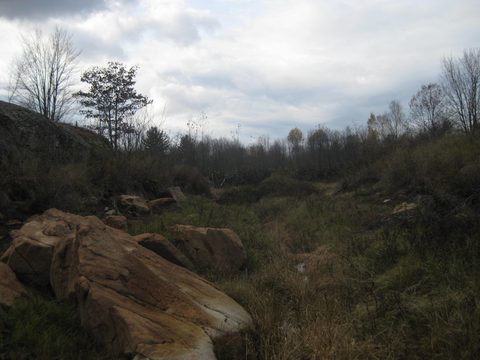 Photo from Backpacking on the Ganaraska Trail - Wilderness Section