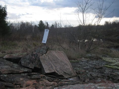 Photo from Backpacking on the Ganaraska Trail - Wilderness Section