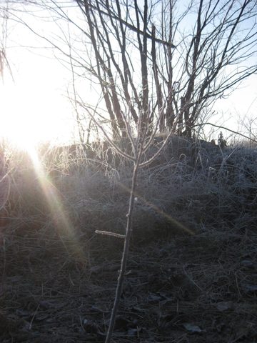 Photo from Backpacking on the Ganaraska Trail - Wilderness Section
