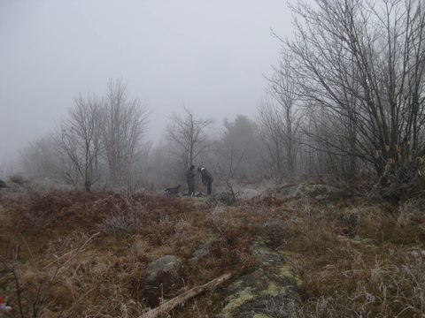 Photo from Backpacking on the Ganaraska Trail - Wilderness Section