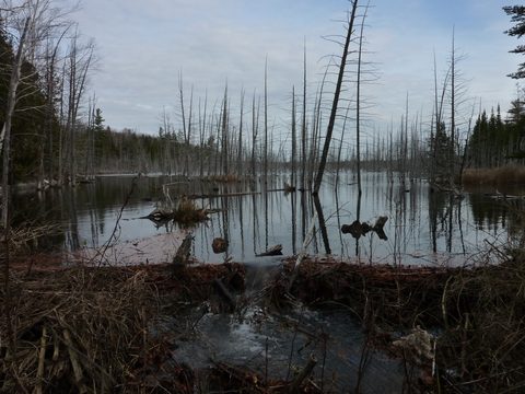 Photo from Backpacking - Bruce Peninsula National Park - through hike