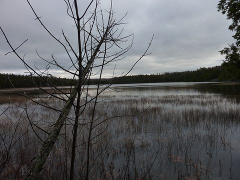 Photo from Backpacking - Bruce Peninsula National Park - through hike