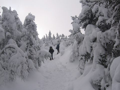 Photo from Backpacking, Mt. Marcy summit, Lake Placid, NY