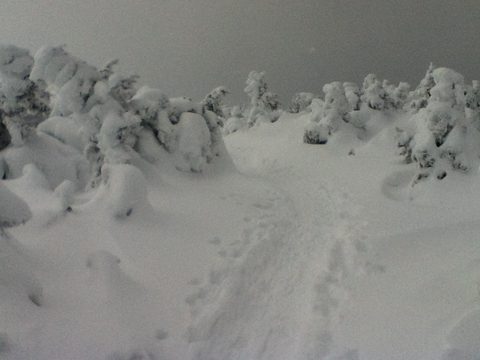 Photo from Backpacking, Mt. Marcy summit, Lake Placid, NY