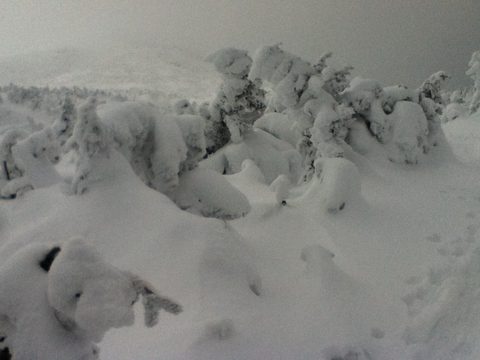 Photo from Backpacking, Mt. Marcy summit, Lake Placid, NY
