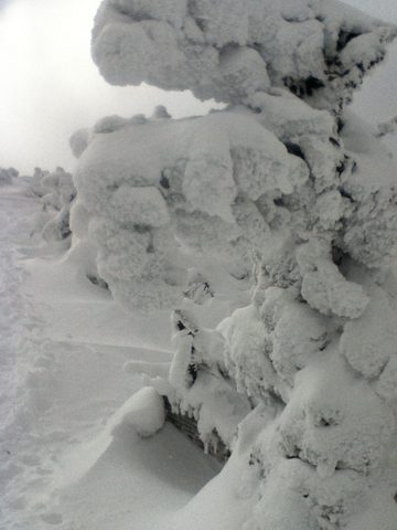 Photo from Backpacking, Mt. Marcy summit, Lake Placid, NY