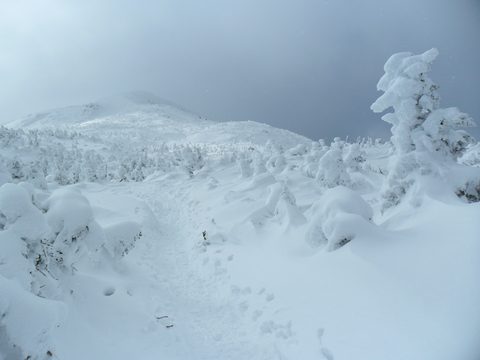 Photo from Backpacking, Mt. Marcy summit, Lake Placid, NY
