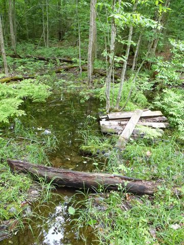 Photo from Canoe camping, Massasauga Provincial Park