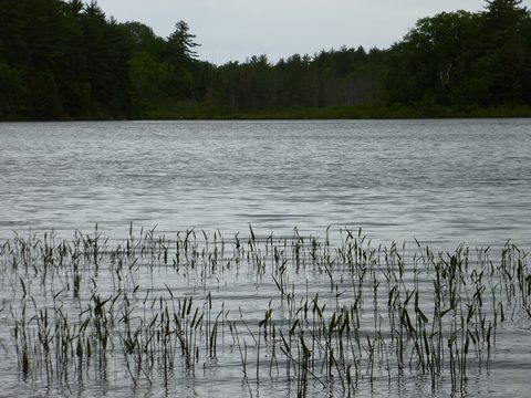 Photo from Canoe camping, Massasauga Provincial Park
