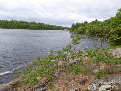 Photo from Canoe camping, Massasauga Provincial Park