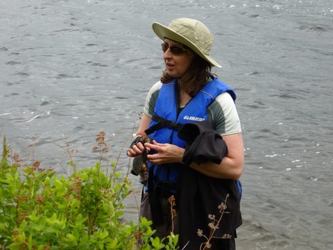 Photo from Canoe camping, Massasauga Provincial Park