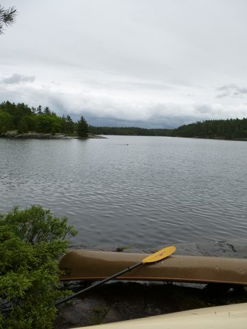 Photo from Canoe camping, Massasauga Provincial Park