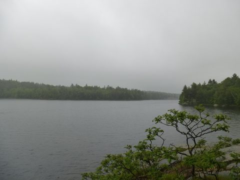 Photo from Canoe camping, Massasauga Provincial Park