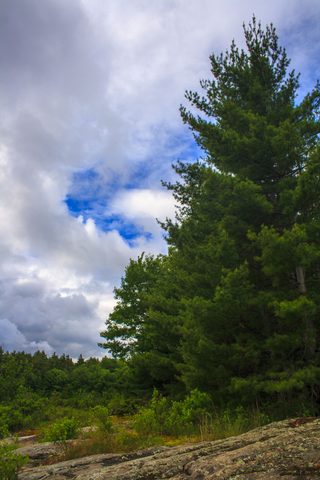 Photo from Canoe camping, Massasauga Provincial Park