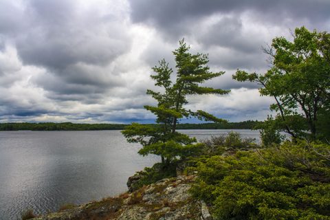 Photo from Canoe camping, Massasauga Provincial Park