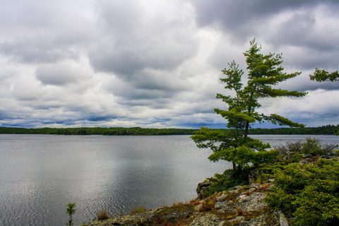 Photo from Canoe camping, Massasauga Provincial Park