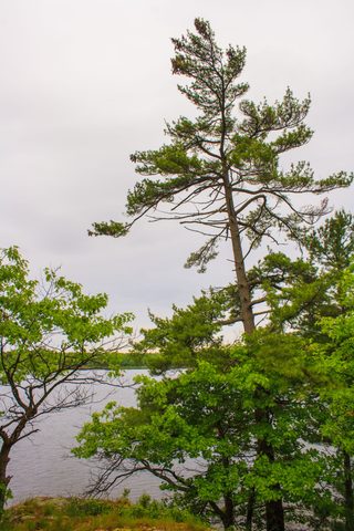 Photo from Canoe camping, Massasauga Provincial Park