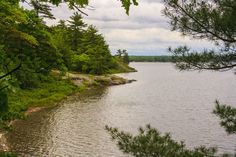 Photo from Canoe camping, Massasauga Provincial Park