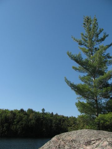 Photo from Canoe camping, Haliburton Highlands Water Trails