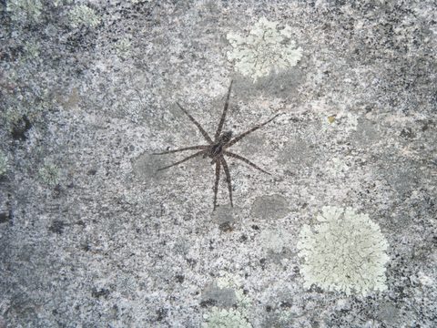 Photo from Canoe camping, Haliburton Highlands Water Trails