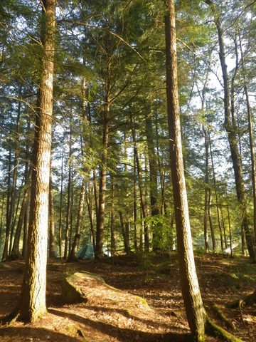 Photo from Canoe camping, Haliburton Highlands Water Trails